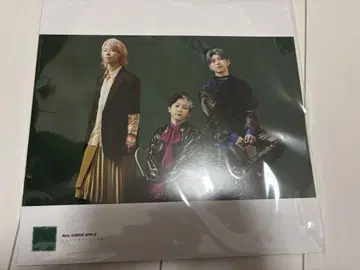 Mrs. GREEN APPLE LP 사이즈 사진 포스터 (19매)