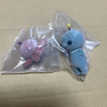 교육 방송 타마