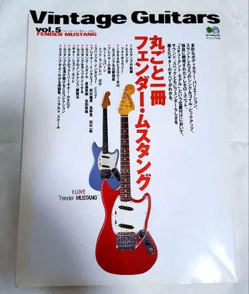 빈티지 기타 vol.5 펜더 머스탱