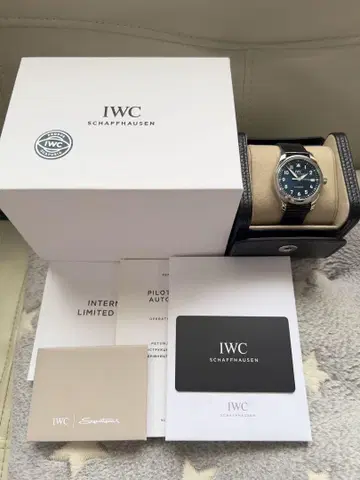 IWC 시계