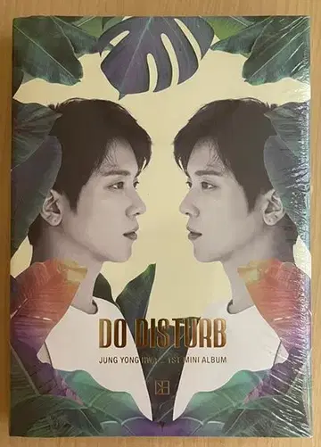 DO DISTURB 정용화 포스터 포함