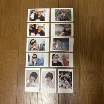 멍멍멍멍 고양이냐옹냐옹 하피카 폴라로이드 묶음 판매