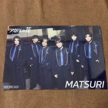 MATSURI 아가베 꽃 클리어 카드 집합