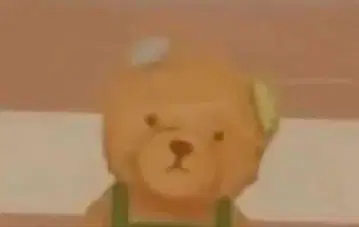 곰 카드