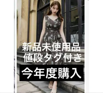 Anemone Cache-Coeur Long Dress herlipto