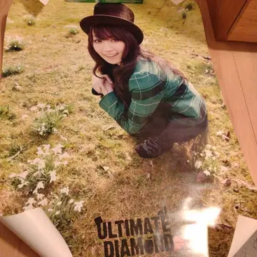 미즈키 나나 ULTIMATE DIAMOND 포스터