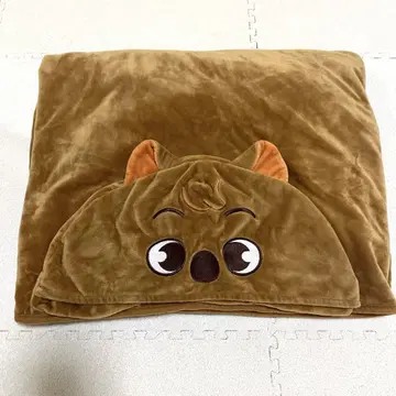 straykids 한쿼카 담요
