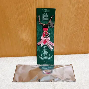 디즈니 헌티드 맨션 스토리 비욘드 백참 샐리