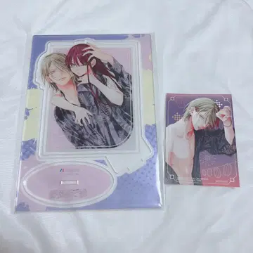 야옹이와 늑대 세트