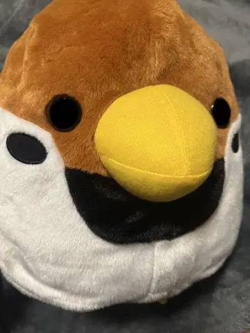 코토리대 참새 세트