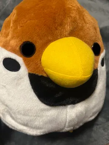 코토리대 참새 세트