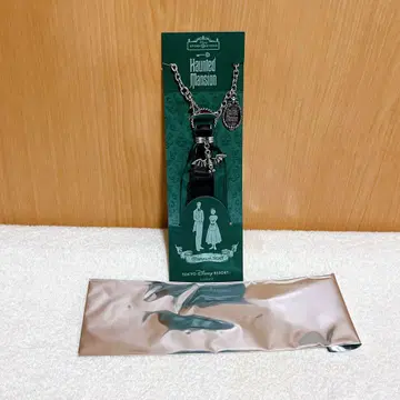 디즈니 호손티드 맨션 스토리 비욘드 백참