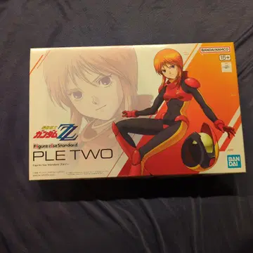 Figure-riseStandard 풀투