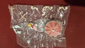 캡슐 토르소 마네킹 카드캡터 사쿠라 4