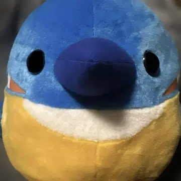 코토리대 카와세미 BIG