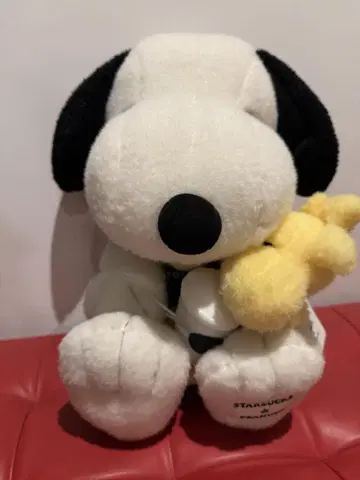 스타벅스 x 스누피 콜라보 2022년 대&우드페커 온라인 한정판