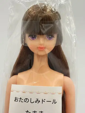 타마키 리카짱 캐슬 오타노시미 인형 보라색 눈 제니 프렌드