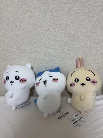 치이카와 (먼작귀) 엉덩이 흔들흔들 BIG 봉제 인형 3체