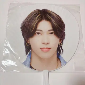 스에자와 세이야 부채 데뷔 투어
