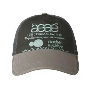 AEAE WEB LOGO MESH CAP 메쉬 캡 그레이 한국