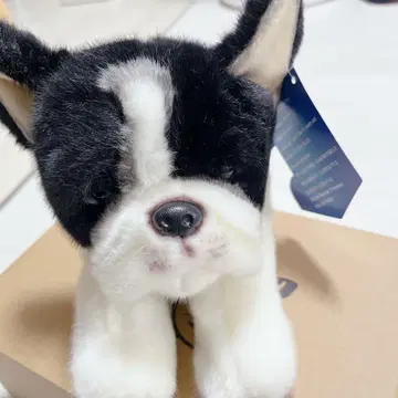 프렌치 불도그 개 봉제 인형 리얼 소프트