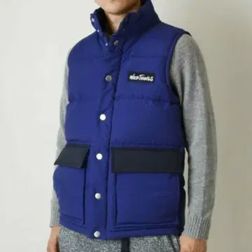 정가 25,300엔 size S WILDTHINGS down vest