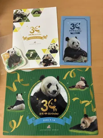 어드벤처 월드 팬더 영명 30주년 기념 굿즈 4종 세트