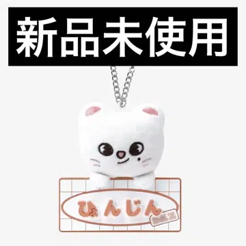 Stray Kids SKZ TOY WORLD 진니레트