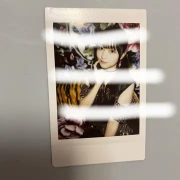 나란 노도카 폴라로이드