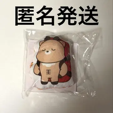 RIIZE 라이즈  쿠션 키링 성찬 울라밤