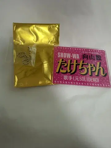 show-wa 무카이야마 타케시 타케짱 네임 키링 포카포카 스티커