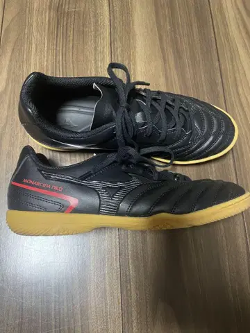 모랄 시다 NEO 24.0