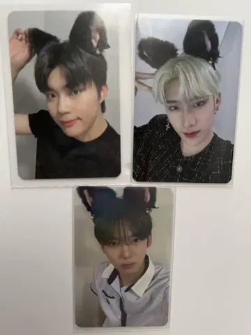 ZB1 제베원 건욱, 유진, 리키 고양이 귀 트레이딩 카드 3종 세트