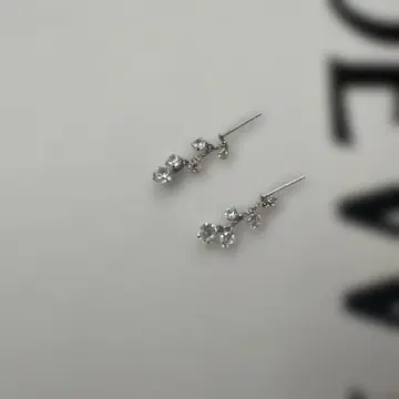 K10 WG 각인 있음 귀걸이