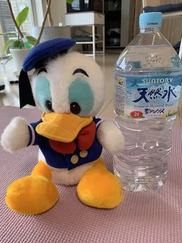 도널드 덕 봉제 인형 디즈니
