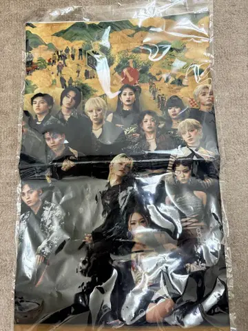 BMSGFES 메가 캡슐 패브릭 포스터