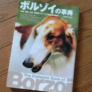볼조이 사전 (오제키 쿄코 저)