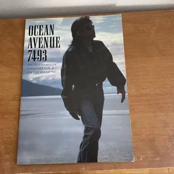 SHOGO HAMADA OCEAN AVENUE 7493