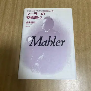말러 교향곡 코다와리파를 위한 명곡 철저 분석 2