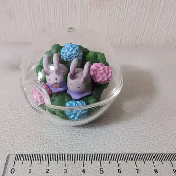 포켓몬 테라리움 컬렉션 3종