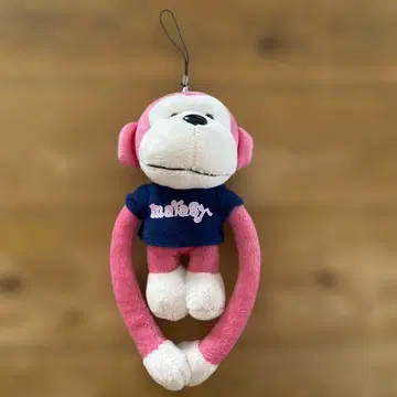 [마라시] 사루시 손긴 원숭이 2015 투어