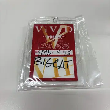 ViViD hedonist 오사카 BIG CAT VIP 특전 키링
