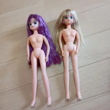 리카짱 인형 본체 히나짱 츠바사짱