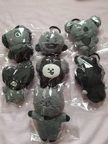 BT21 마스코트 모노톤 풀 컴프 키링 새상품