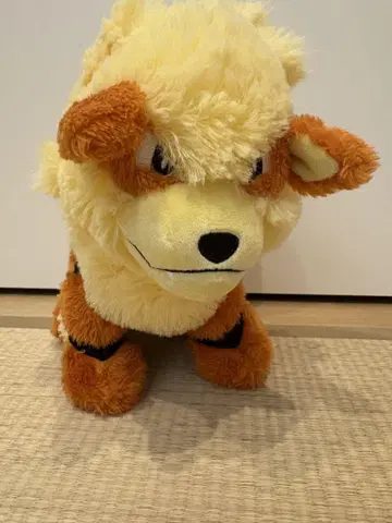 윈디 봉제 인형