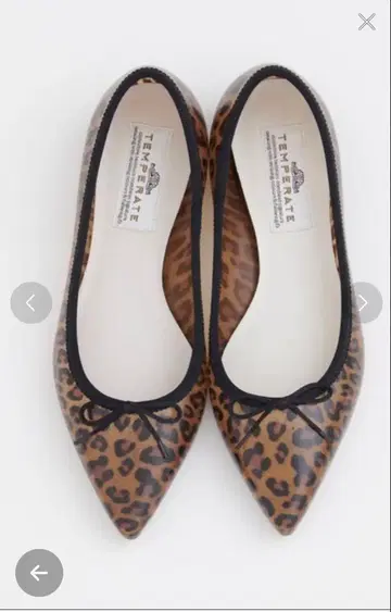 TEMPERATE 레오파드 무늬 레인 신발 24.5