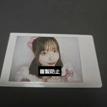 사쿠라바 하루카 폴라로이드