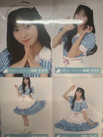 [ 2025년 할로윈 의상 ] 컴프
