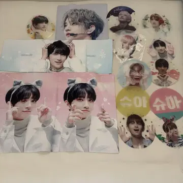 SEVENTEEN 세븐틴 조슈아 슬로건 부채