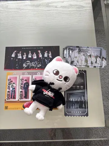 STRAY KIDS 고양이 봉제 인형
